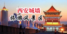 www,插美女B嫩B,c0m中国陕西-西安城墙旅游风景区